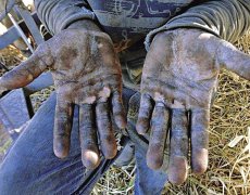 Trabalho escravo no interior de Minas Gerais mostra a cara mais cruel do capitalismo