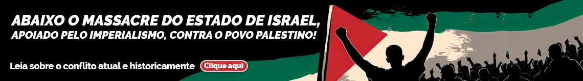 Banner Palestina Declaração FT