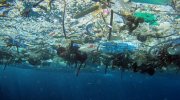 O combate à poluição plástica é a temática do Dia Mundial do Meio ambiente