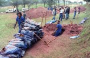 614 ossadas de desaparecidos da ditadura são encontradas em Perus-SP