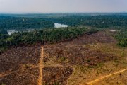 União Europeia pede dados positivos sobre desmatamento na Amazônia 
