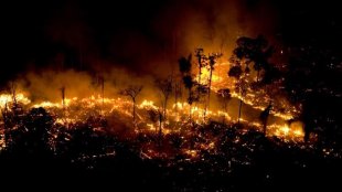 Crime do agronegócio: 72% das queimadas em 2019 na Amazônia ocorreram em grandes fazendas