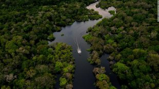 Para salvar a Amazônia da destruição ambiental é preciso destruir o capitalismo