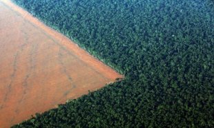 Ultrapoluidores: Noruega, Alemanha e Bolsonaro negociam futuro da Amazônia