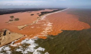 Lama da mineradora Samarco chega ao mar destruindo natureza local