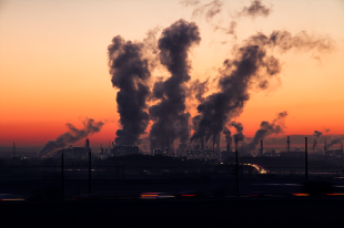 Conselho de Meio Ambiente permite poluição do ar que mata 17 mil por ano só em SP