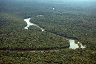 Justiça Federal suspende decreto de Temer que extingue reserva nacional na Amazônia