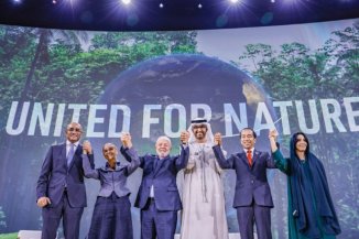 COP28: a farsa do multilateralismo em um mundo mais dependente dos combustíveis fósseis 